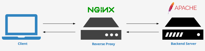 وب سرور آپاچی و nginx